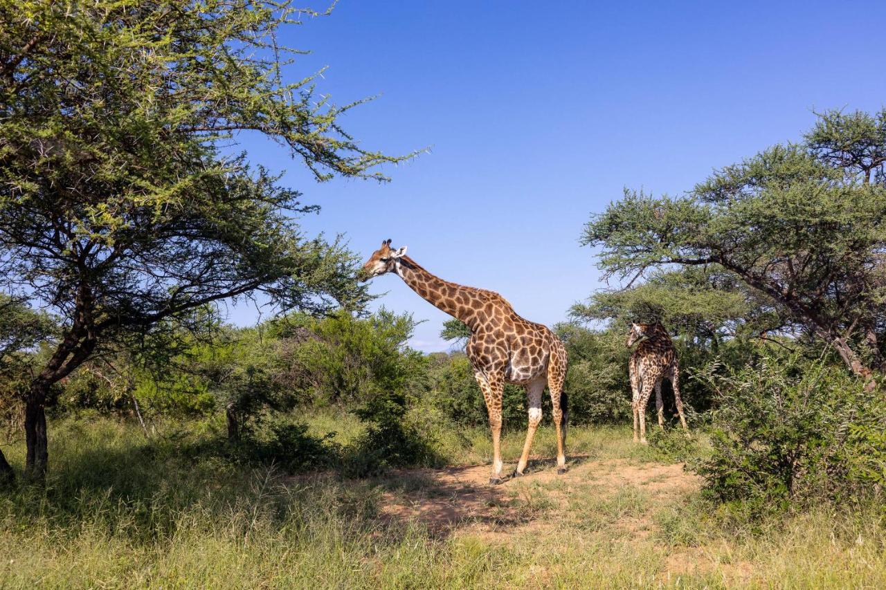 Oase By 7 Star Lodges - Greater Kruger Private 530Ha Reserve Hoedspruit Exterior photo
